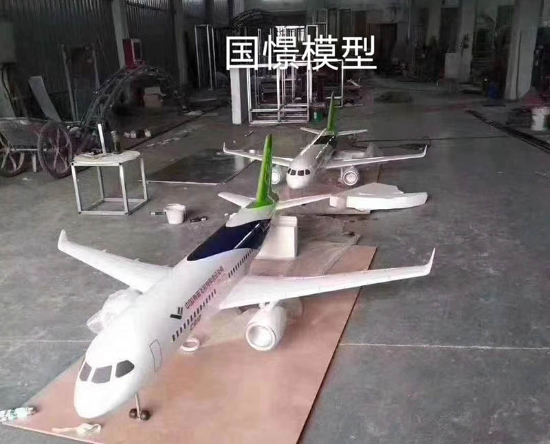 杨浦区飞机模型